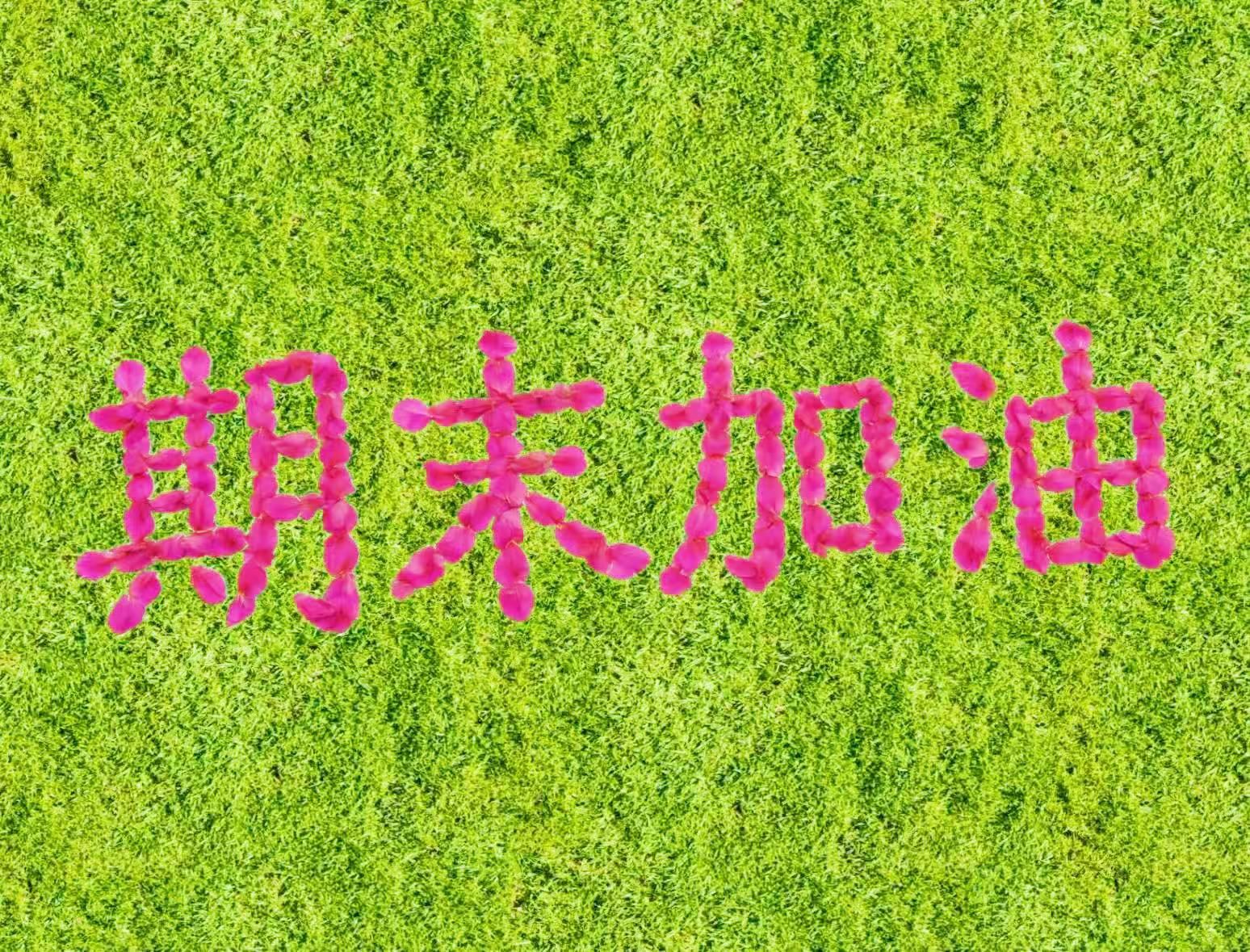 74d71f856d3707264a74393090f22722_副本.jpg